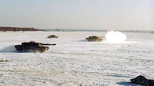 leo10.jpg