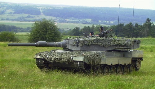 leo14.jpg