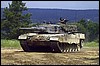 leo15.jpg