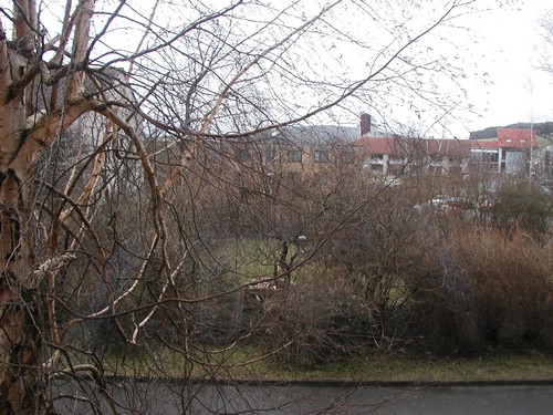 P1280391.JPG