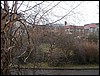 P1280391.JPG