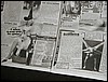 P2190485.JPG